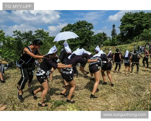 开云官网公告中关于产品更新和服务调整的详细信息解析