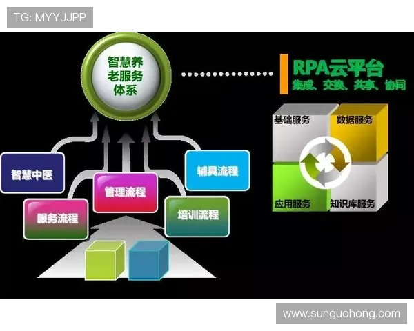 开云网址网址登录线路优化方案提升登录速度与稳定性
